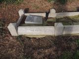 image of grave number 560018